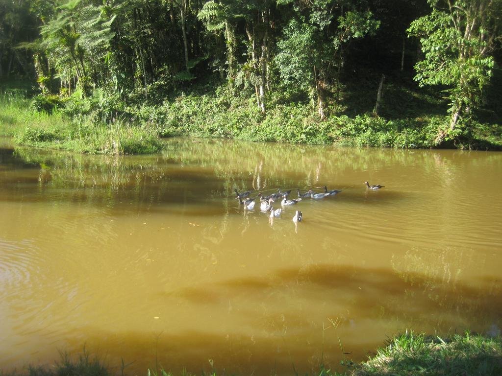 Pousada Recanto Dos Pinheiros Pilar do Sul Esterno foto