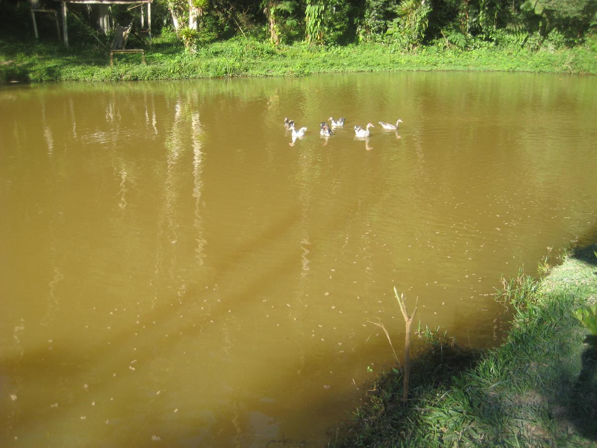 Pousada Recanto Dos Pinheiros Pilar do Sul Esterno foto